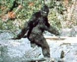 U Massachusettsu pronađeno Bigfootovo stopalo?