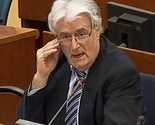 Kako je Radovan Karadžić obmanuo Yasushija Akashija