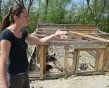 Uništen porodični biznis: Psi lutalice poklali rasne kokoši na Koševskom Brdu