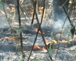 Požar u Trnovu lokaliziran, dvije ekipe vatrogasaca dežuraju