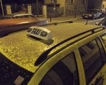 Kraljevo: Invazija mušica zbog naglog porasta temperature