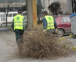 Safet Baltić novi direktor KJKP Park