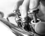 Jazz fest i ove godine organizuje Music meeting