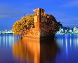 Plutajuća šuma u zaljevu Homebush u Sydneyju