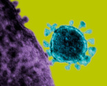 Virus sličan SARS-u odnio prvu žrtvu u Tunisu