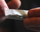 Droga doživljava "procvat", slobodno konzumiranje marihuane postaje globalni trend