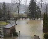 Srbija: Dunav raste kod Novog Sada