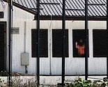 Otkrivena grupa ilegalnih migranata: Obećali im Austriju, a doveli ih u BiH