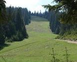 Odmor od gradske gužve lako je naći na planinama