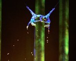 Akrobatkinja Cirque du Soleila preminula nakon pada na sceni