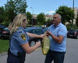 Zbog gađanja jajima zgrade Vlade FBiH uhapšen predsjednik Udruženja poljoprivrednika