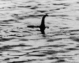Riješena misterija čudovišta iz Loch Nessa?