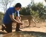 Gepard napao glumca Adama Sandlera