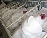 Prirodni priraštaj negativan čak u sedam kantona FBiH
