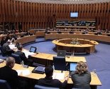 Dom naroda PSBiH o sigurnosti rada u institucijama BiH