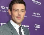 Monteith, zvijezda serije "Glee", preminuo od predoziranja heroinom i alkoholom