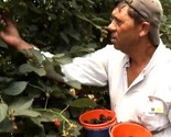 DW video dana: Portugal traži radnu snagu