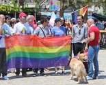 Bilans Parade ponosa u Budvi: 22 osobe privedene, a dvije povrijeđene