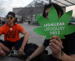 Urugvajski parlament legalizovao marihuanu, proizvodit će je i prodavati