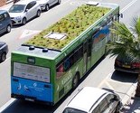 U nedostatku parkova, Španci prave vrtove na krovovima autobusa