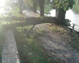 Olujno nevrijeme čupalo drveće u Karlovcu