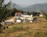 Pokrenuta akcija prikupljanja pomoći za ergelu konja u Rakovici