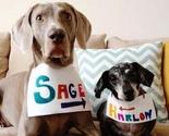 Harlow & Sage: Psi koji su pokorili Instagram