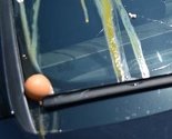 Policija spriječila bacanje jaja na zgradu Vlade FBiH