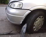 Psi izgrizli automobil u potjeri za mačkama na Čengić Vili