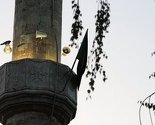 Američki Institut Pew: Bh. muslimani su među najtolerantnijima