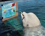 Japanski beluga kitovi uče slikati