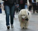 Naredne sedmice počinje sanacija dijela šetnice u Ferhadiji