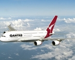 Avion Qantasa prizemljen zbog zmije