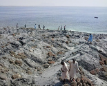 Otok nastao nakon zemljotresa u Pakistanu ispušta misteriozni gas
