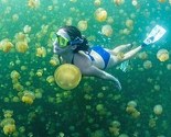 Roniti s meduzama u Palauu