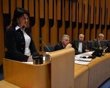 Problem uličnih pasa u BiH: Rješenje je u registraciji, sterilizaciji, ali i kažnjavanju