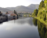 Sarajka platila račun lažnom novčanicom od 100 dolara