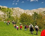 Budite dio akcije stvaranja BeEco šume na Bjelašnici