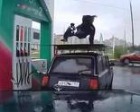 Radnik na benzinskoj pumpi izveo breakdance na krovu automobila