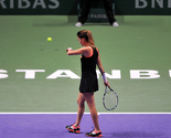 WTA Championships: Radwanska turnir završila bez osvojenog seta