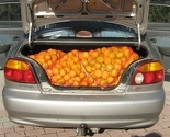 Spriječeno krijumčarenje 900 kilograma mandarina iz Hrvatske u BIH
