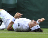 ATP Pariz: Branilac naslova Ferrer posljednji polufinalist