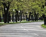 Ulična kampanja u Vilsonovom šetalištu