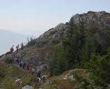 Trebević će biti bogatiji za nekoliko hiljada sadnica