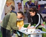 Aktivisti: Azili za pse su logori, ne dozvolimo eutanaziju životinja