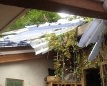 Californija: Krave kroz krov upale u radionicu