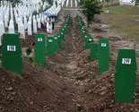 Profesor iz Beograda: I samo slušanje o Srebrenici je nepodnošljivo