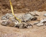 Ekshumacija žrtava iz Tomašice obustavljena zbog loših vremenskih uvjeta