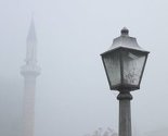 Ekološka udruženja: Vrijeme je za zelenu pobunu!