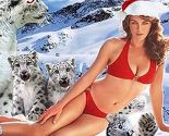 Liz Hurley u bikiniju na božićnoj čestitki